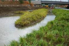 Environmental works wildlife habitat