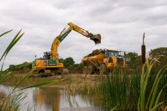 Reed beds environmental works