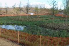 Wetland habitats Queen Elizabeth Park