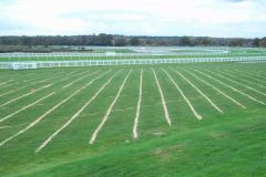 Equestrian facilities ascot racecourse reconstruction