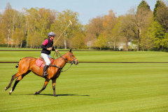 Polo player at Guards Polo Club, Great Windsor park