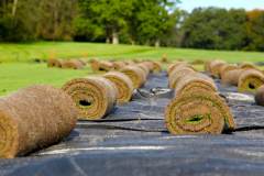 Golf course construction natural turf