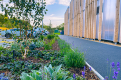 Landscaping at QPR FC training ground