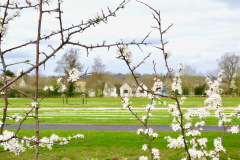 Planting at a cemetery