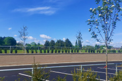 Civil Engineering at a cemetery