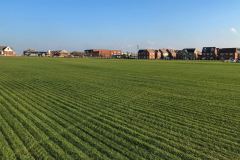 Natural turf sports field construction housing development